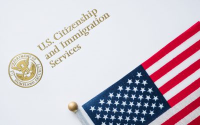 US Immigration and Cannabis Criminal Records
